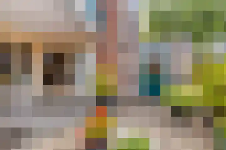 Noorderwal 12 a Lochem thumbnail 41