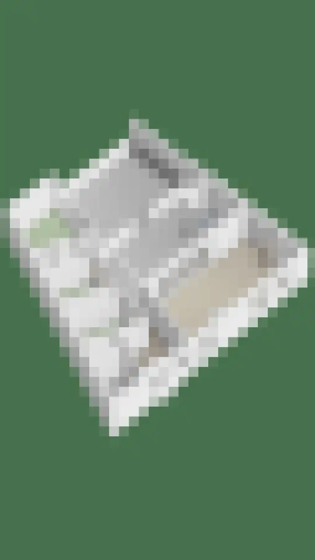 Noorderwal 19 Lochem thumbnail 32