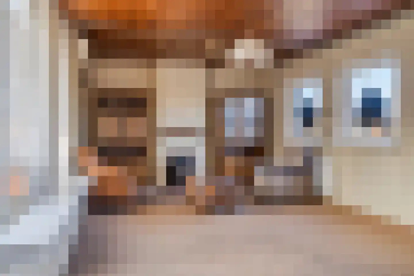 Noorderwal 19 Lochem thumbnail 4