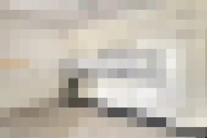 Noorderwal 31 a Lochem thumbnail 15