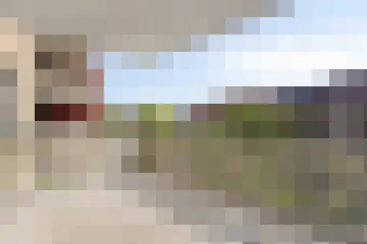 Noorderwal 31 a Lochem thumbnail 28