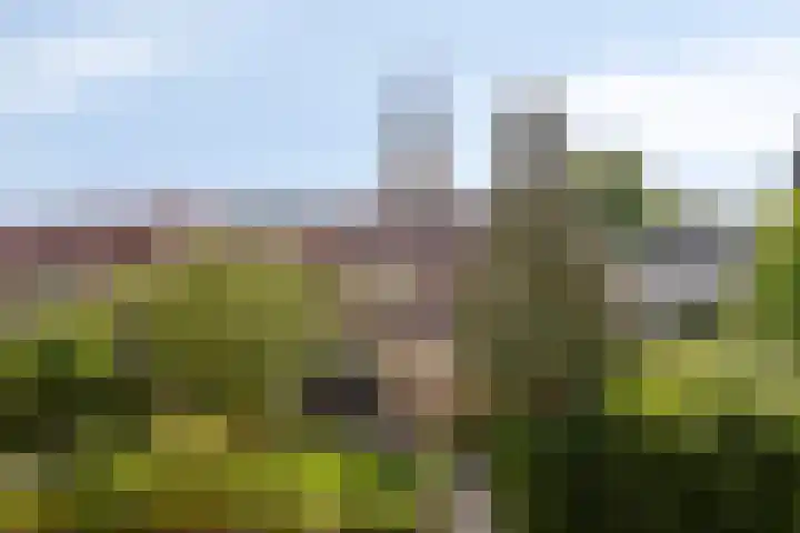 Noorderwal 31 a Lochem thumbnail 29