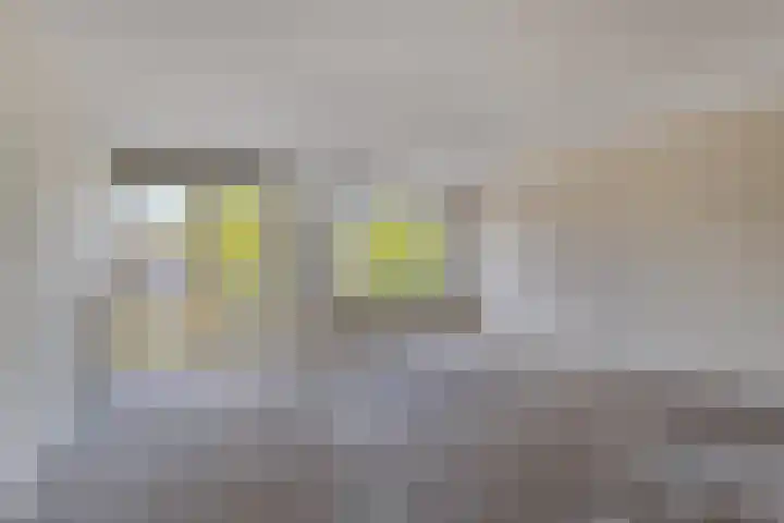 Noorderwal 31 a Lochem thumbnail 8