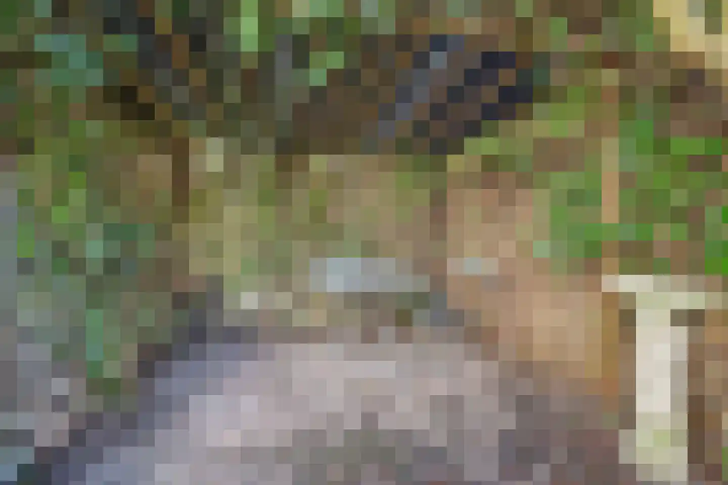Noorderwal 8 Lochem thumbnail 15