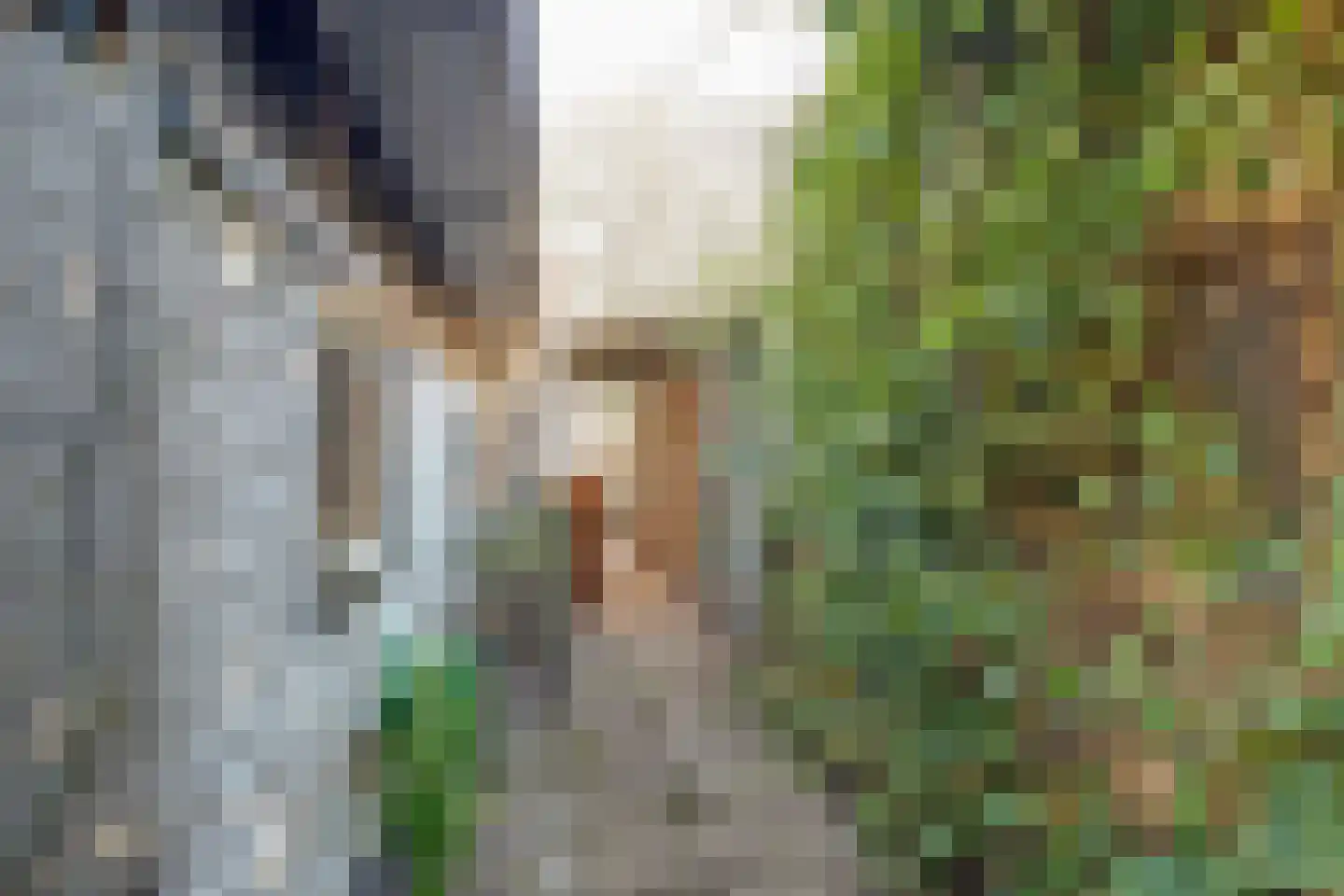 Noorderwal 8 Lochem thumbnail 16