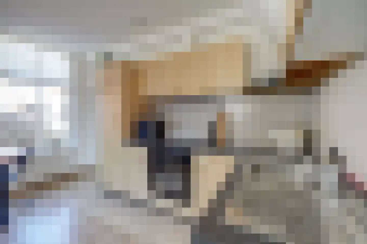 Noorderwal 8 Lochem thumbnail 4