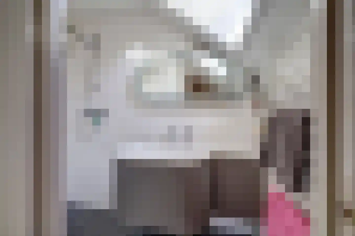 Noorderwal 8 Lochem thumbnail 9