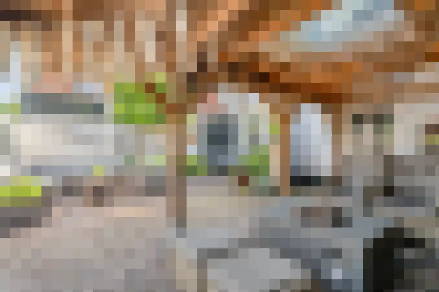 Noorderwalstraat 5 A Elburg thumbnail 29
