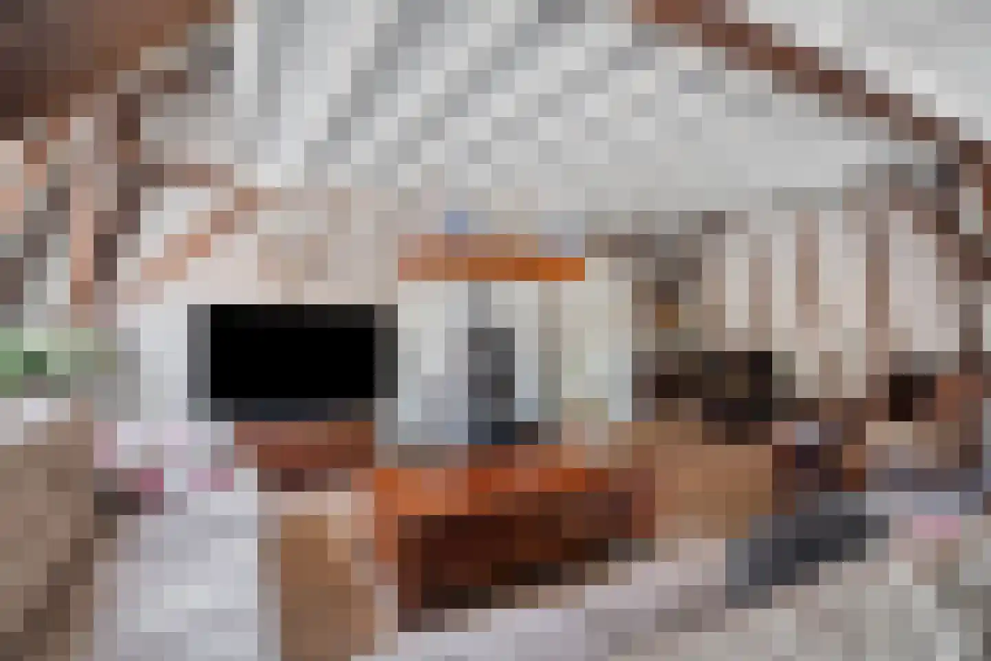 Noorderwalstraat 5 A Elburg thumbnail 4