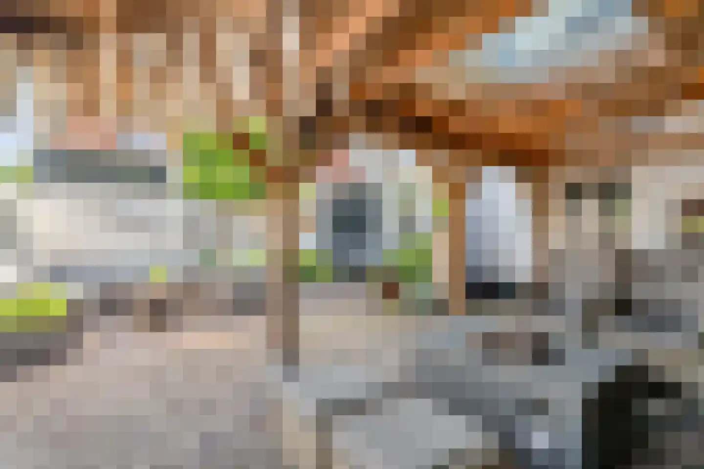 Noorderwalstraat 5 A Elburg thumbnail 52