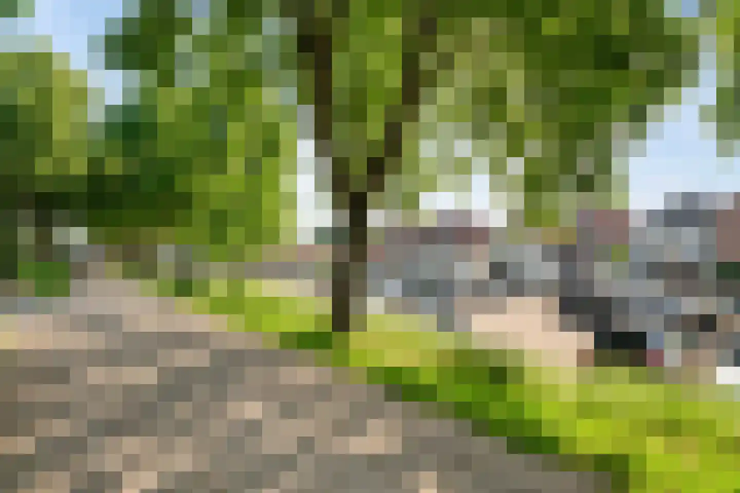 Noorderwalstraat 5 A Elburg thumbnail 57