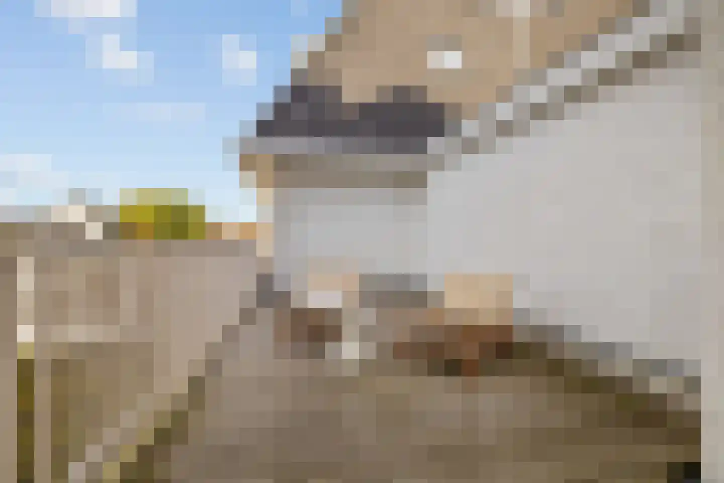 Noorderweg 1 A 1 Bussum thumbnail 14