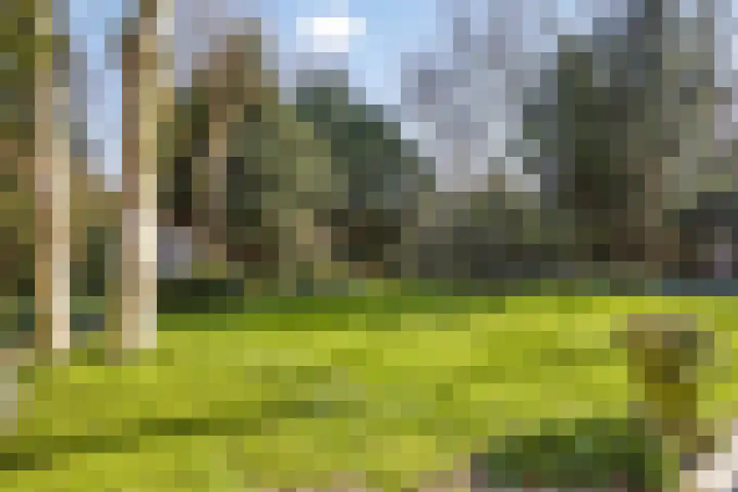 Noorderweg 119 Wijdewormer thumbnail 111