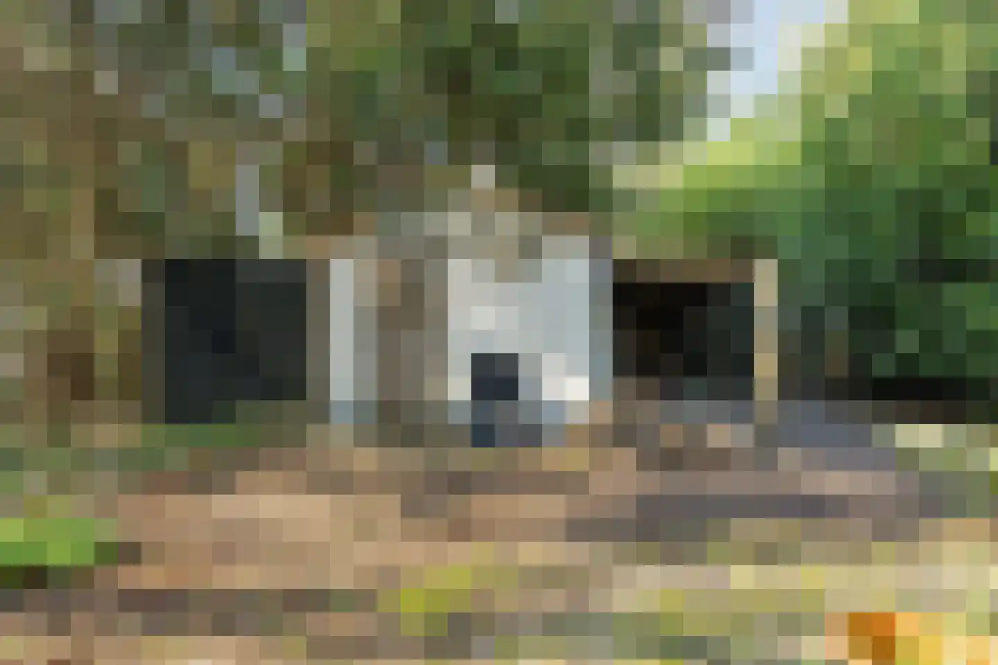 Noorderweg 119 Wijdewormer thumbnail 113