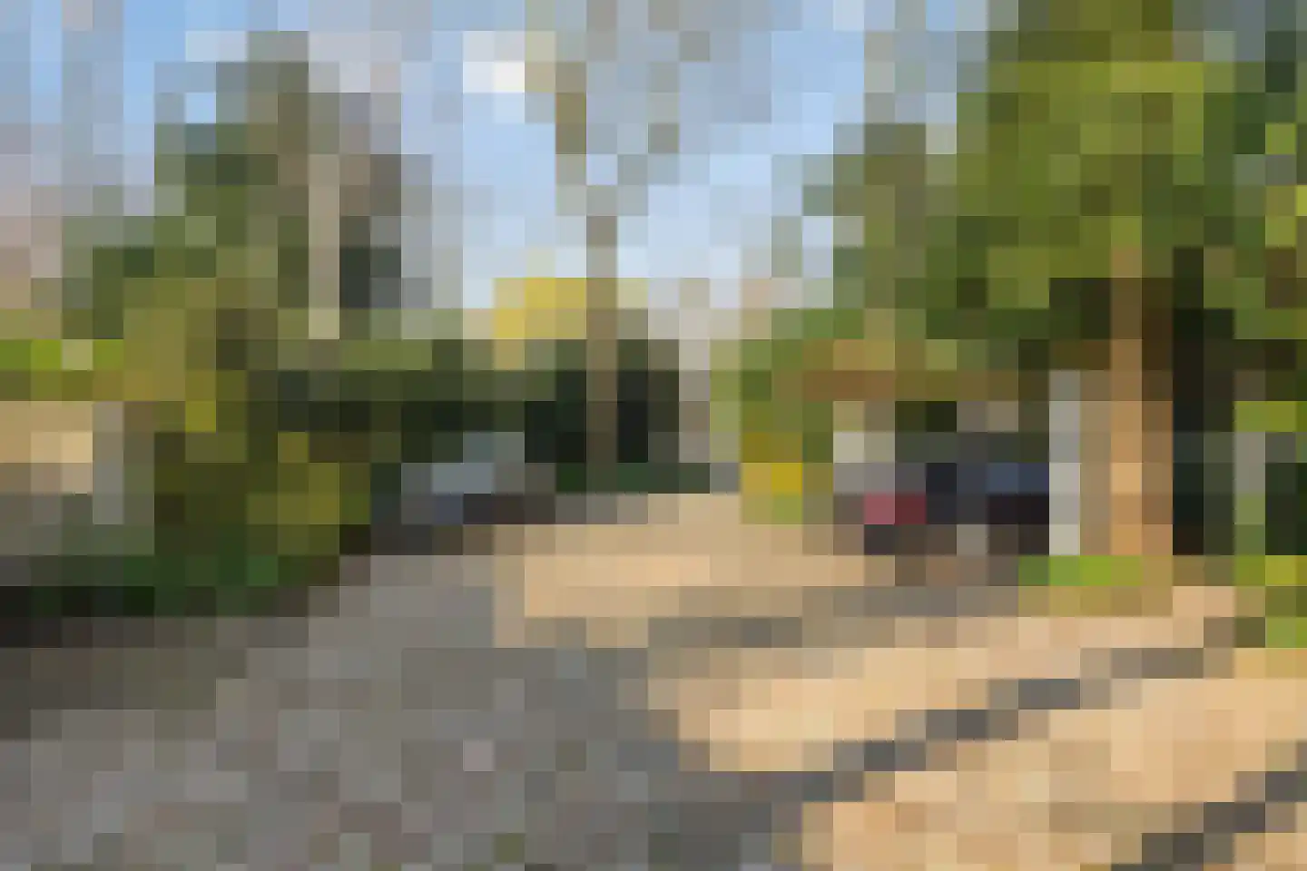 Noorderweg 119 Wijdewormer thumbnail 122