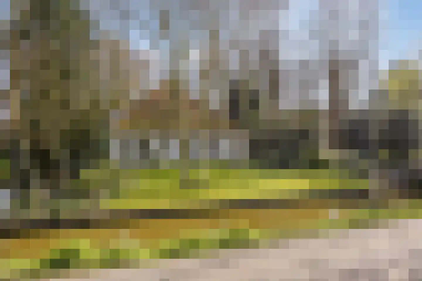 Noorderweg 119 Wijdewormer thumbnail 142