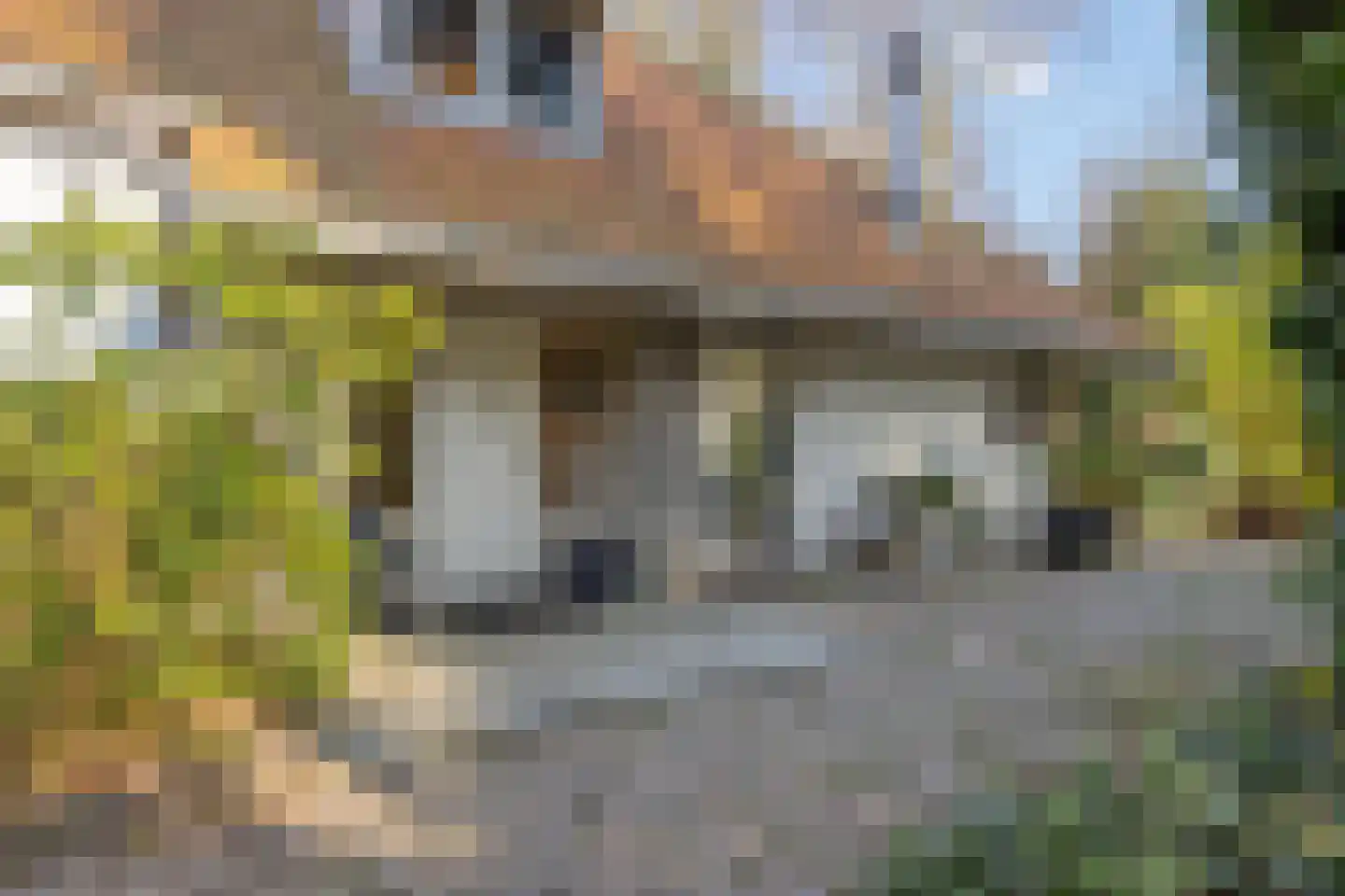Noorderweg 119 Wijdewormer thumbnail 15