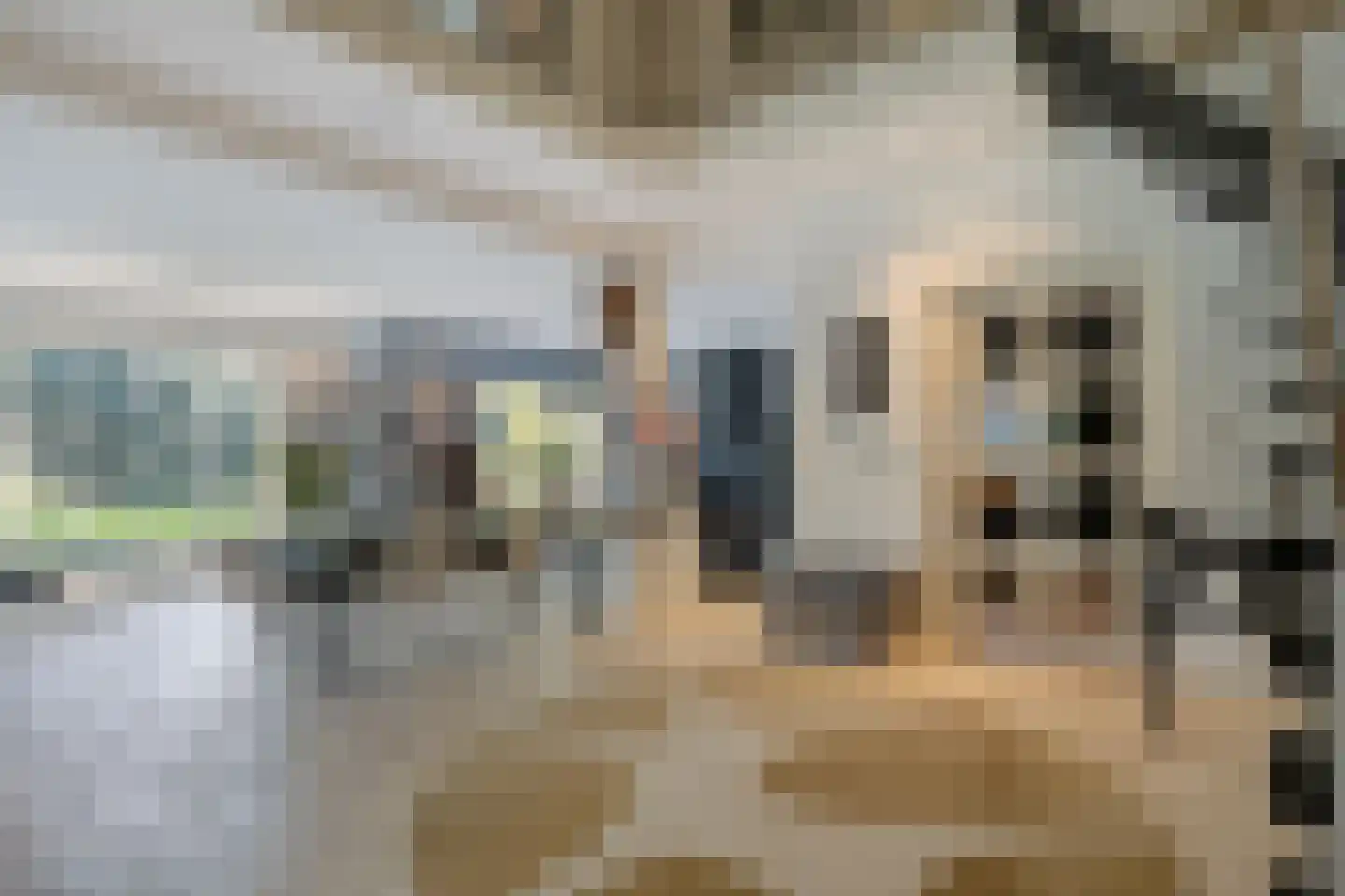 Noorderweg 119 Wijdewormer thumbnail 24