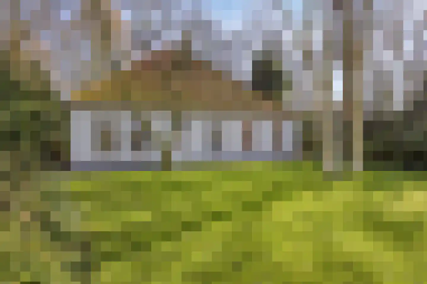 Noorderweg 119 Wijdewormer thumbnail 7
