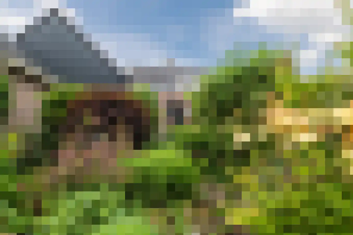 Noorderweg 12 Hoogeveen thumbnail 30