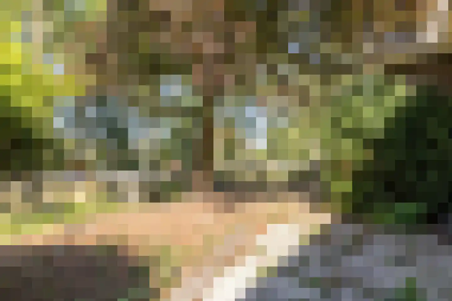Noorderweg 125 Wijdewormer thumbnail 11