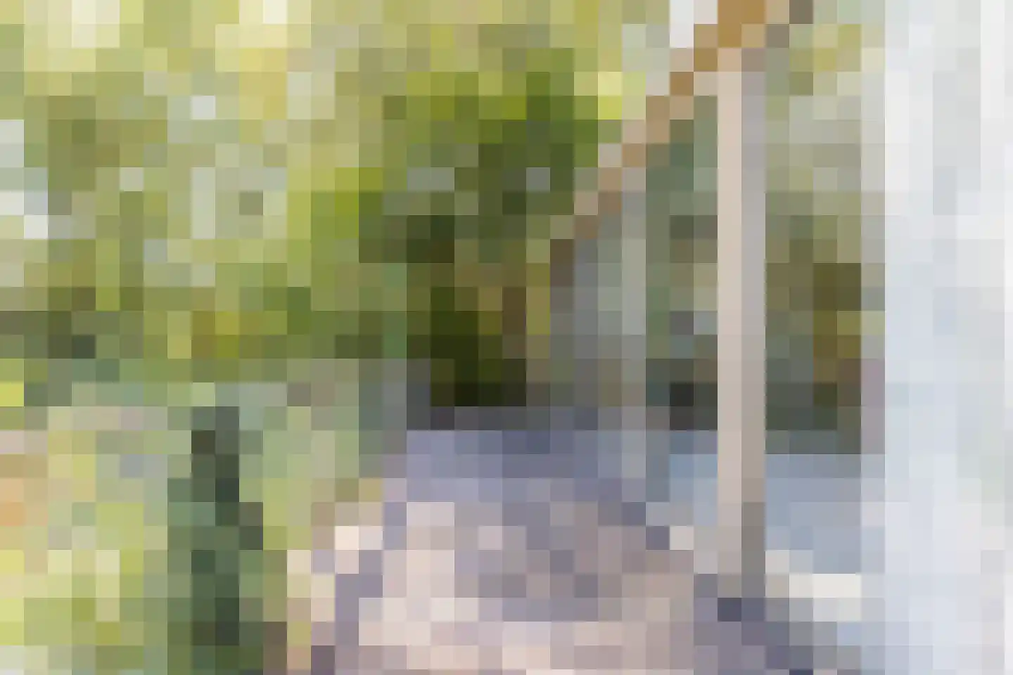 Noorderweg 125 Wijdewormer thumbnail 36