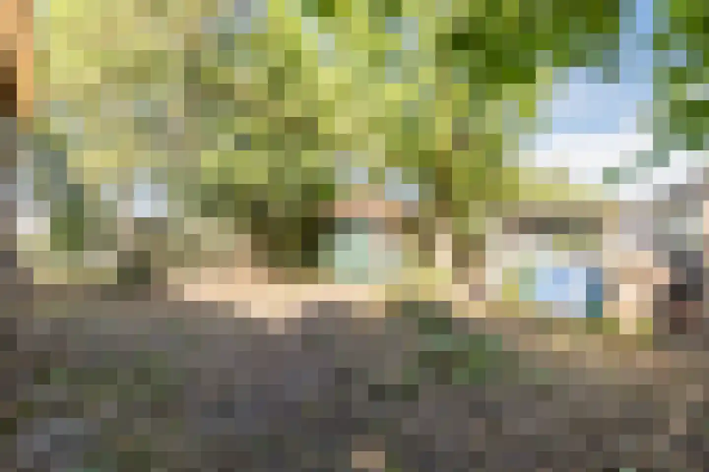 Noorderweg 125 Wijdewormer thumbnail 37