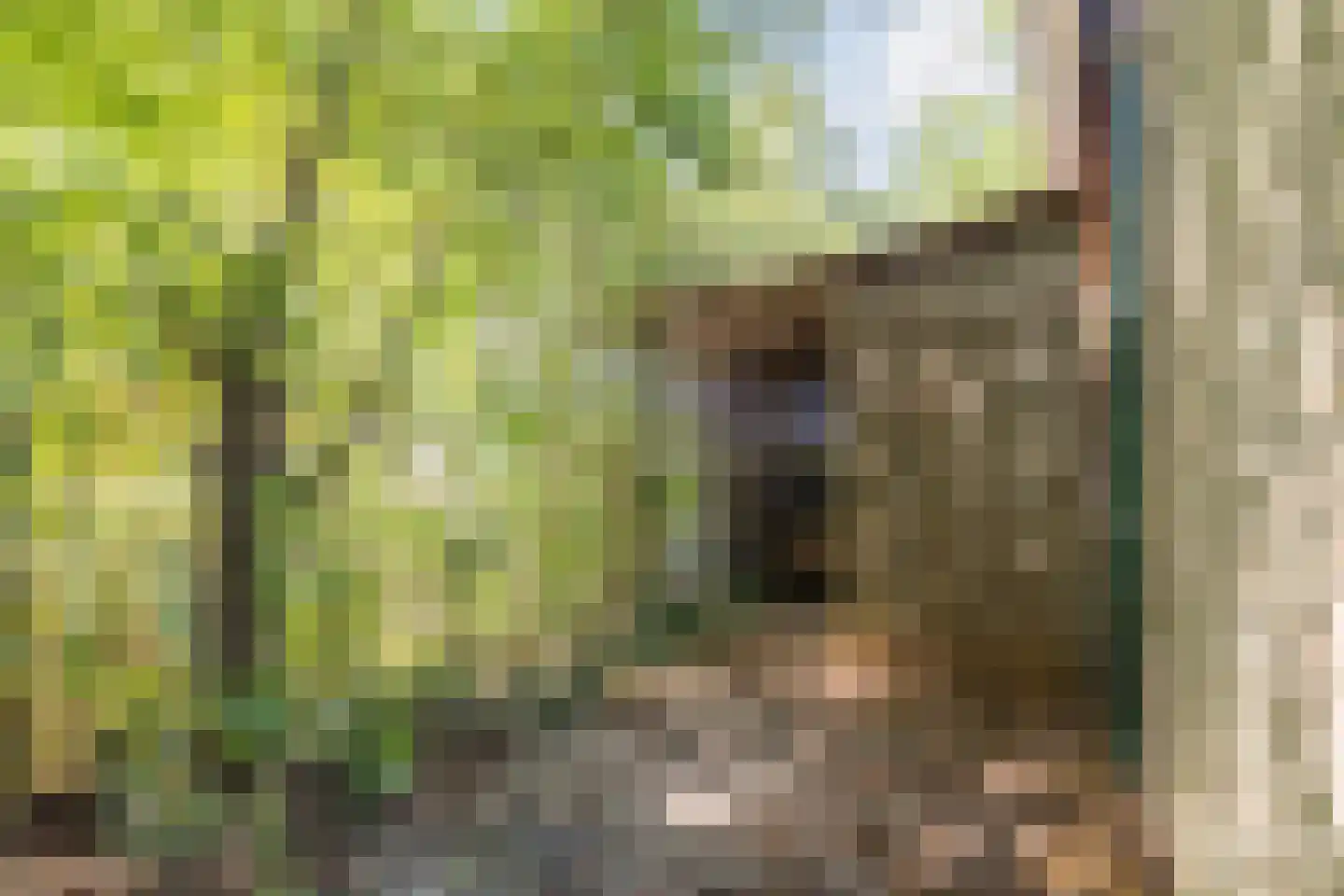 Noorderweg 125 Wijdewormer thumbnail 38