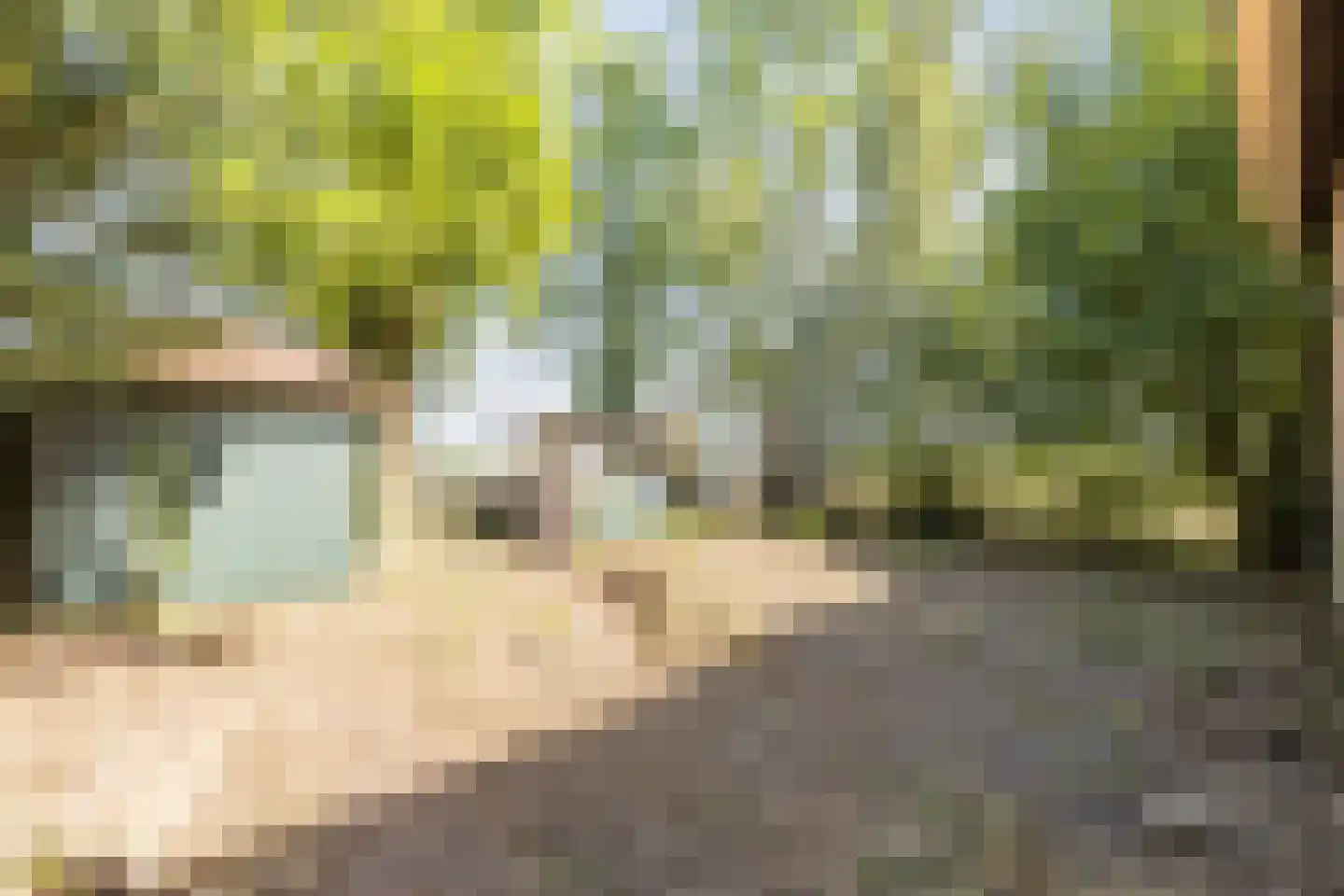 Noorderweg 125 Wijdewormer thumbnail 4