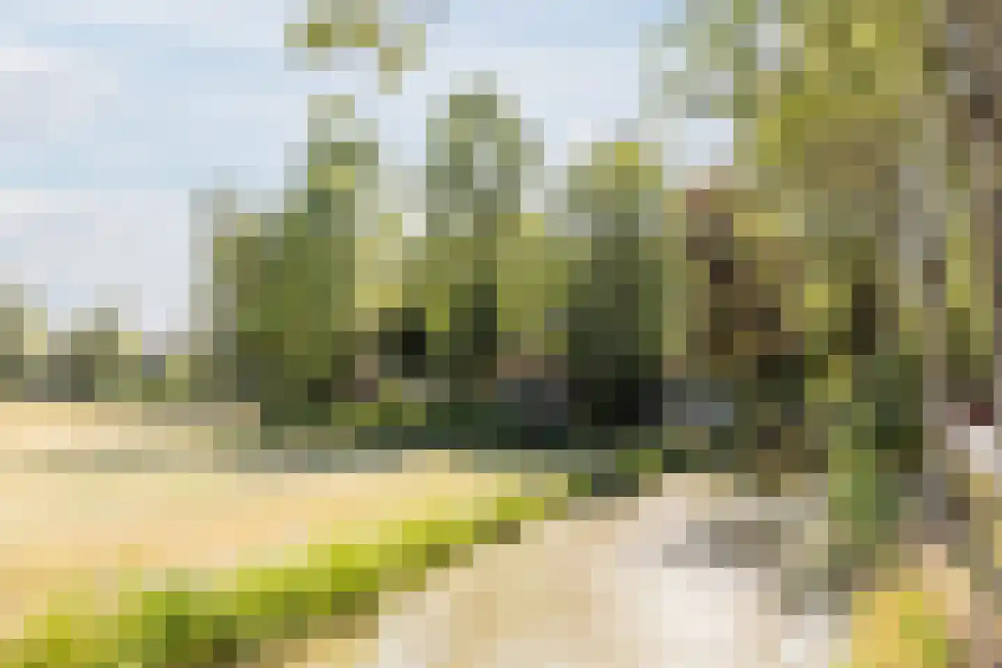 Noorderweg 125 Wijdewormer thumbnail 42