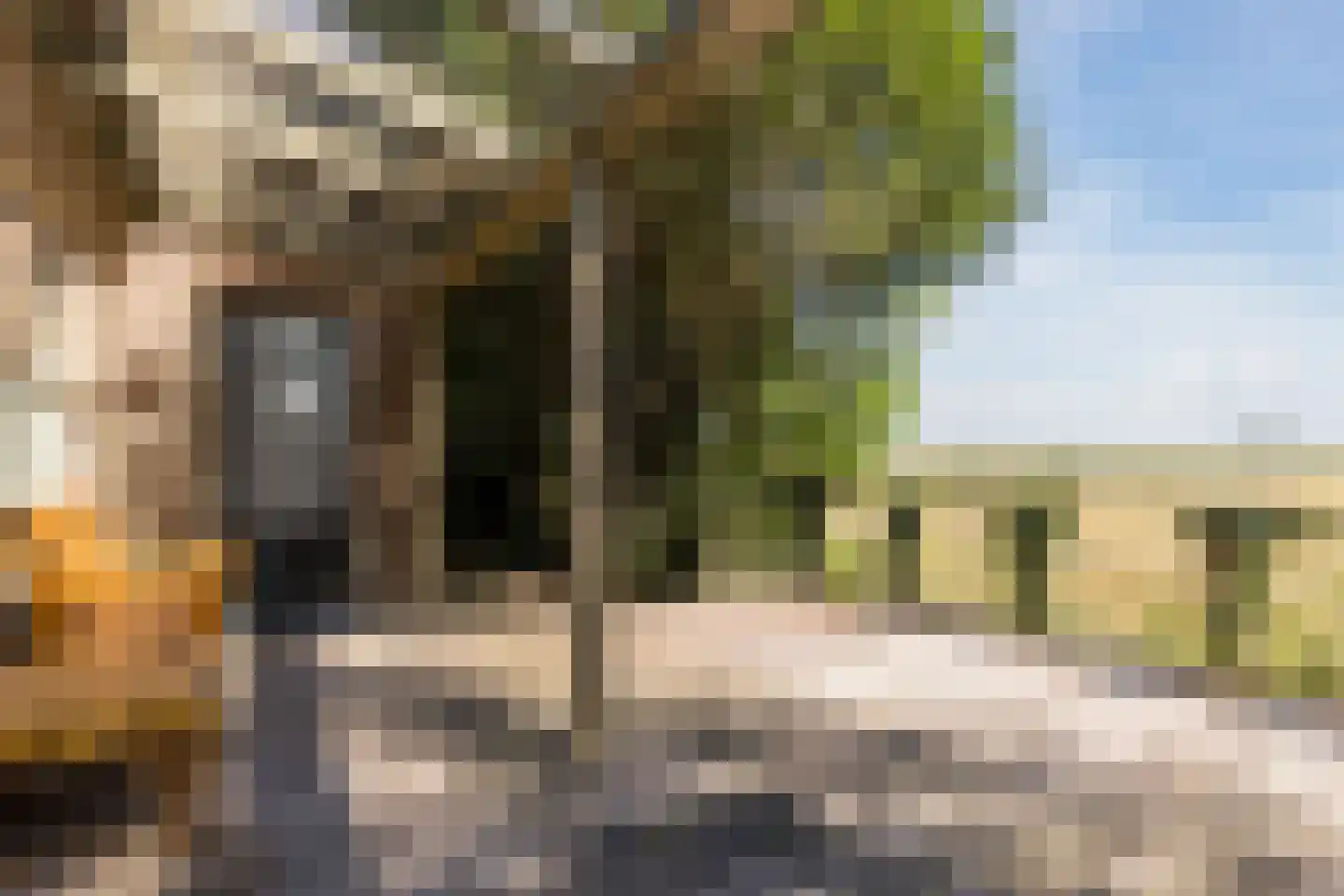 Noorderweg 125 Wijdewormer thumbnail 5