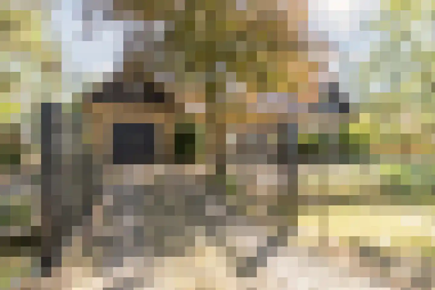 Noorderweg 125 Wijdewormer thumbnail 9