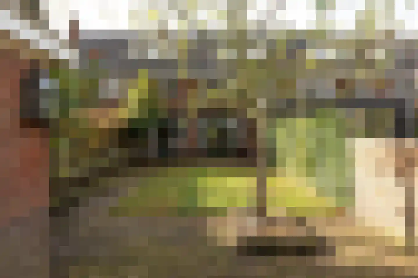 Noorderweg 174 Hilversum thumbnail 35