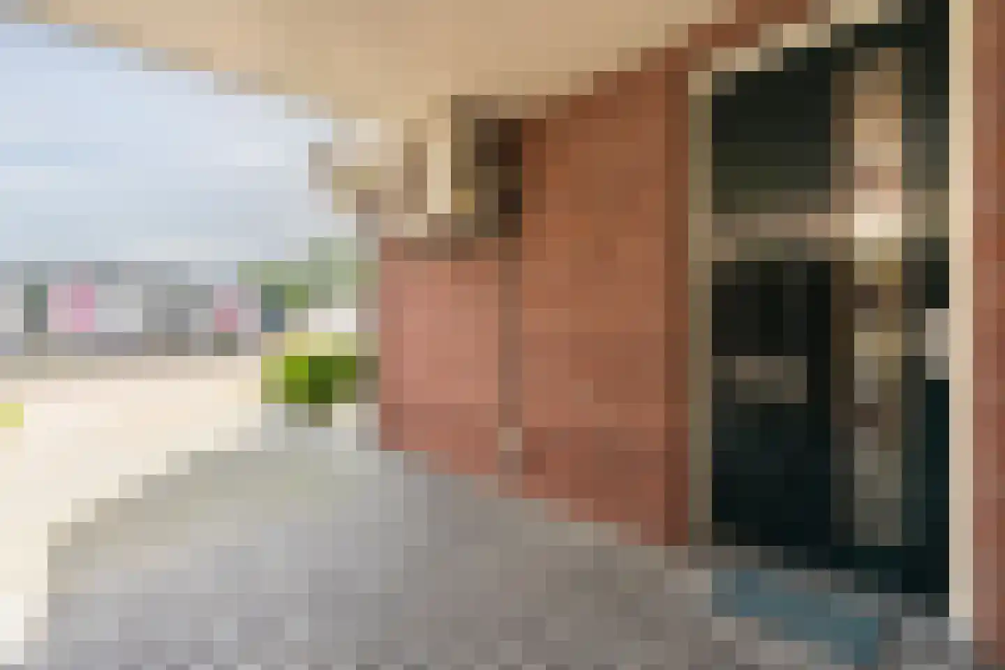 Noorderweg 18 Vroomshoop thumbnail 35