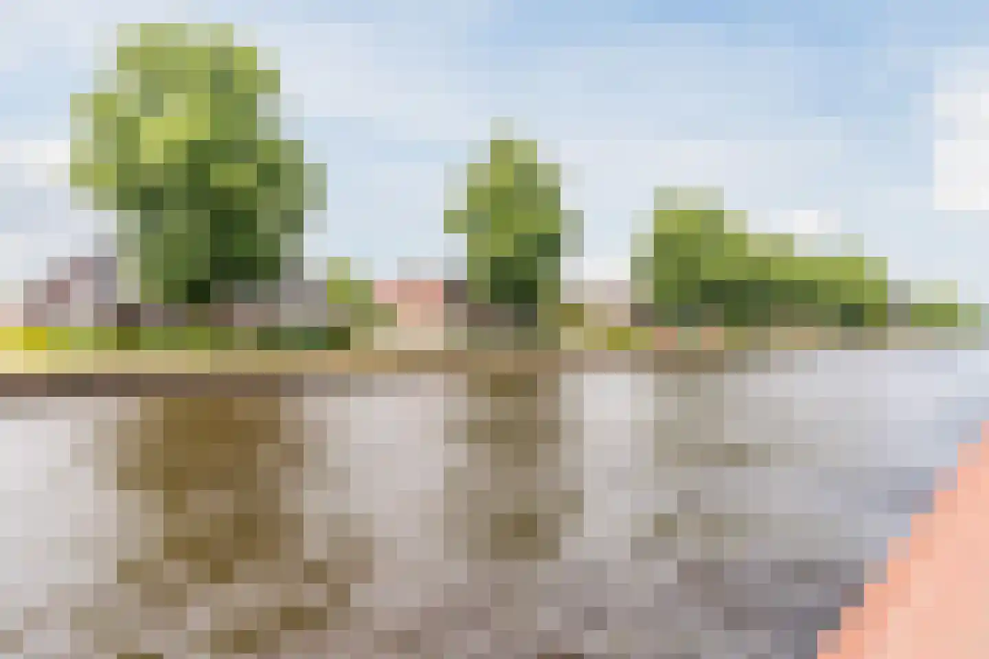 Noorderweg 18 Vroomshoop thumbnail 42