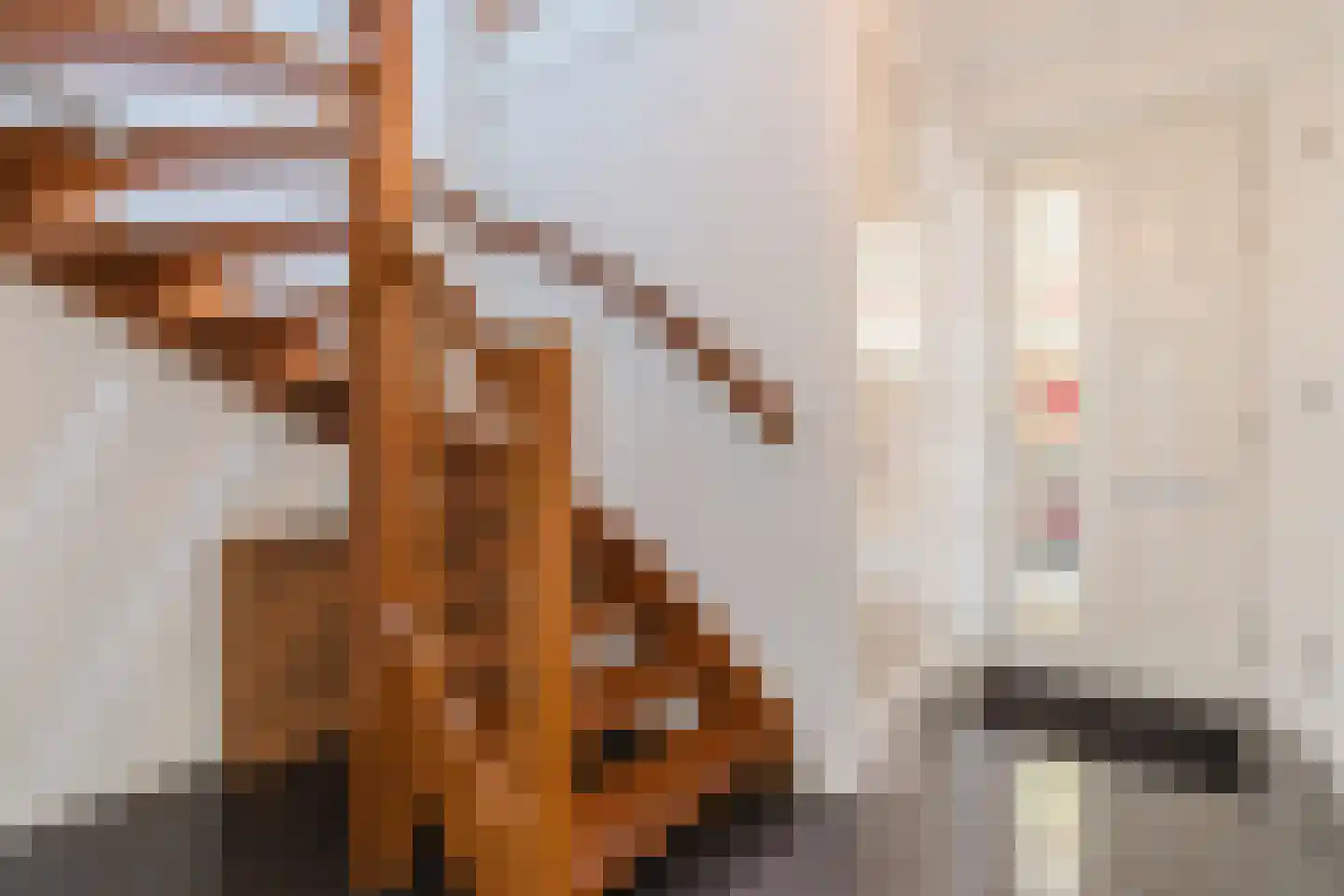 Noorderweg 18 Vroomshoop thumbnail 6