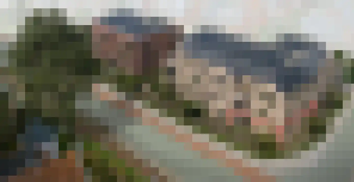 Noorderweg 2 1 Oosterbeek thumbnail 7