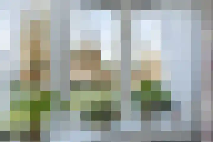 Noorderweg 2 Tiendeveen thumbnail 14