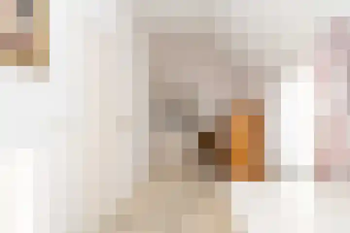 Noorderweg 2 Tiendeveen thumbnail 17