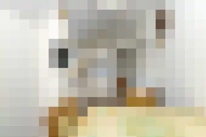 Noorderweg 2 Tiendeveen thumbnail 20