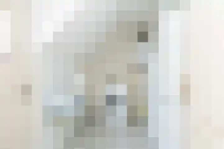 Noorderweg 2 Tiendeveen thumbnail 23