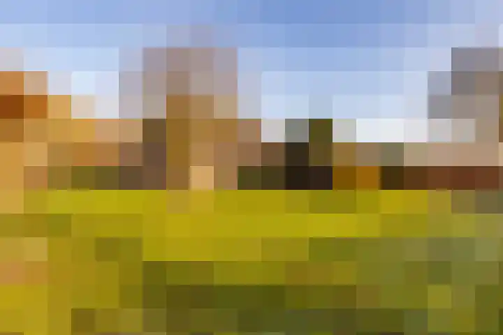 Noorderweg 2 Tiendeveen thumbnail 47