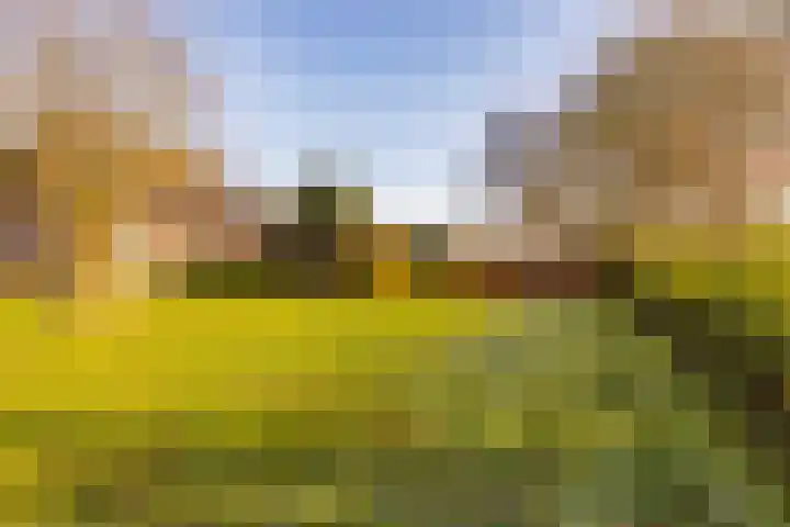 Noorderweg 2 Tiendeveen thumbnail 48