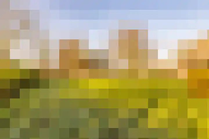 Noorderweg 2 Tiendeveen thumbnail 51