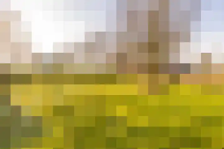 Noorderweg 2 Tiendeveen thumbnail 52