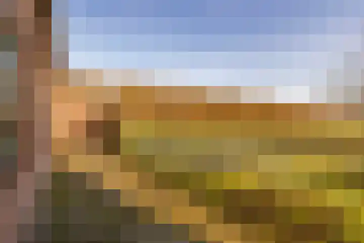 Noorderweg 2 Tiendeveen thumbnail 53