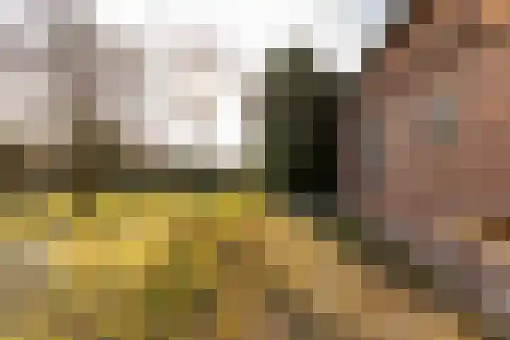 Noorderweg 2 Tiendeveen thumbnail 54