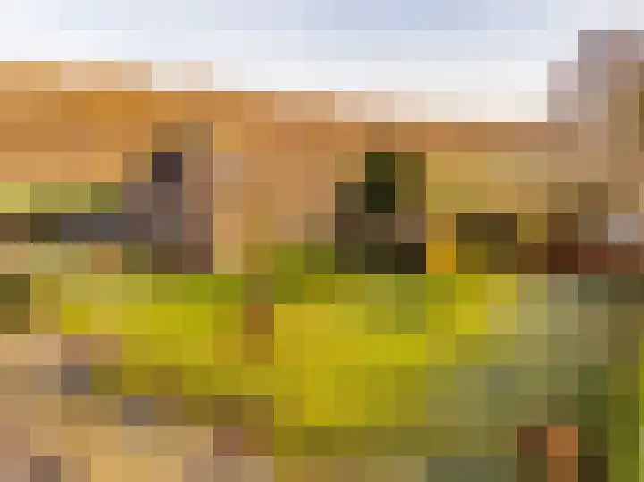 Noorderweg 2 Tiendeveen thumbnail 61