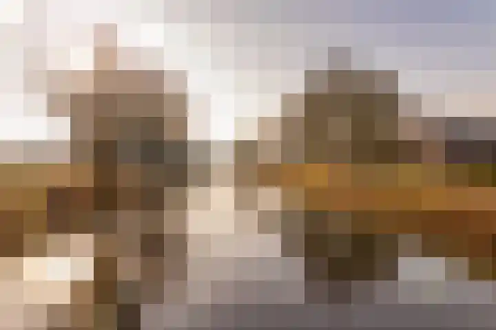 Noorderweg 2 Tiendeveen thumbnail 65