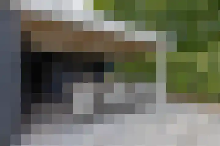 Noorderweg 20 Noordwijk thumbnail 29